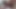 緊縛cd付き