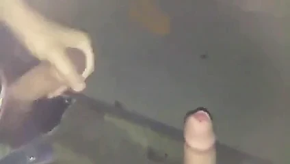 Homo erectus 310