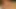 Sarışın travesti kız arkadaşı botlarla sikiliyor
