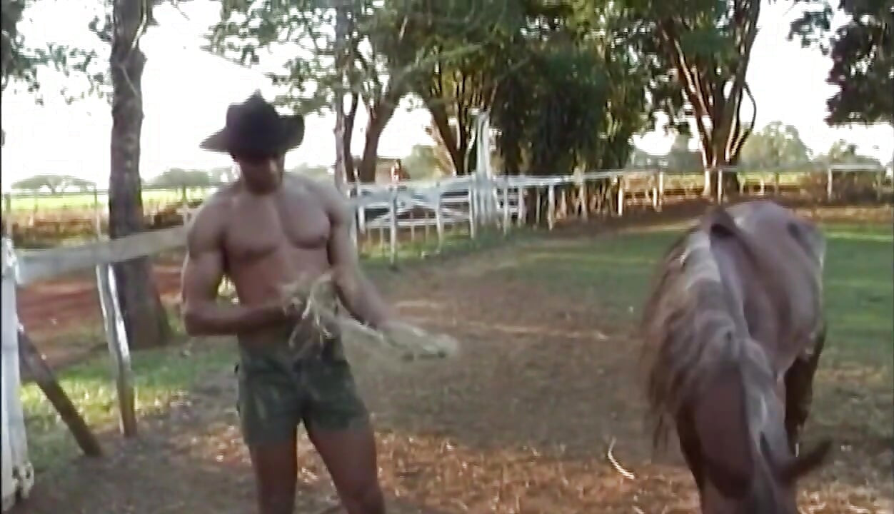 Dos pollas musculosas comparten placer anal a pelo