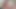 Cumtribute zu Pornostar Lisa Ann
