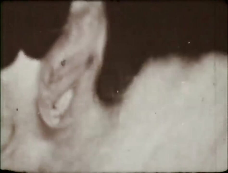 어드벤처 오브 퍼커스