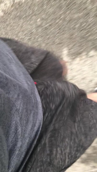 Taking my cock for a walk