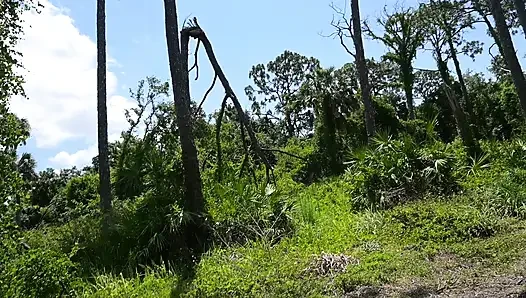 Bts Naturspaziergang und Masturbation auf dem Trail