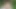 Big dick nudist walking through the woods