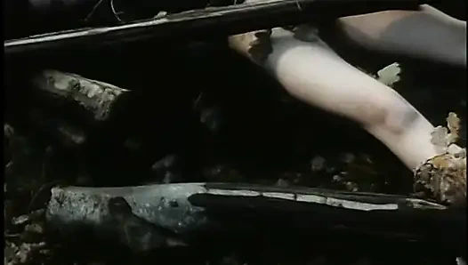 Молодые крошки обожают твердые члены