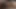 Vibrator Toy Masturbation filmed by a User