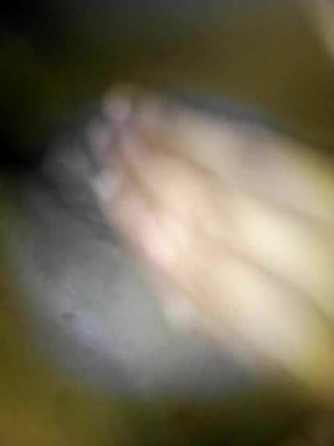 rd p