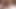 Wrap your lips around my big hard tranny cock