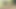 Indian girl Fucked hard by boyfriend in jungle Hindi Sex Video