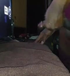 Homecuming