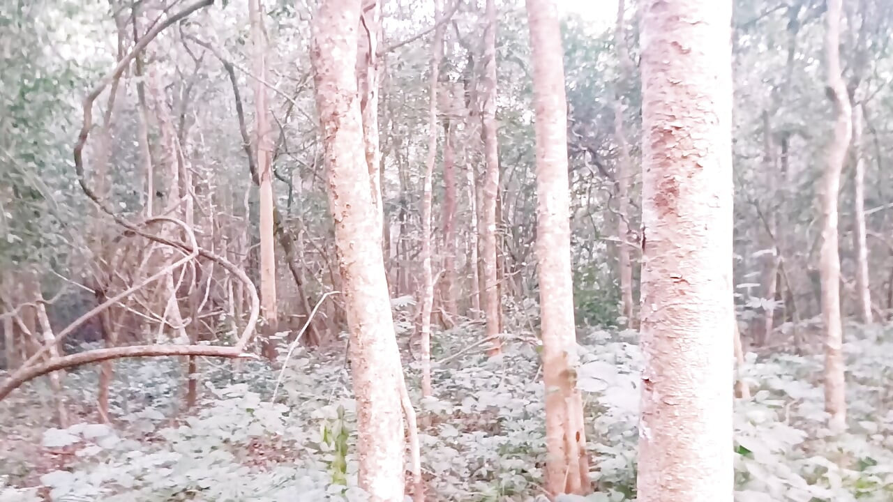 Desi Outdoor Jungle Sex