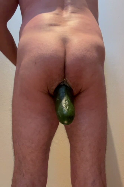 Anal cucumber 36