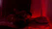 Pratinjau video