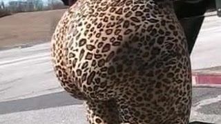Leopard-Blase