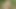 在大自然中看到两只驴子不是很好吗
