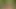 Hot Hung Bareback Cum Loving Twinks