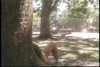 Pratinjau video