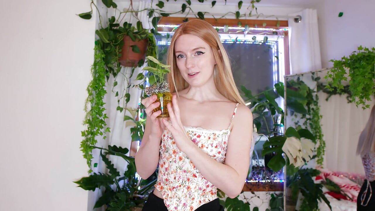 Las plantas que tengo para navidad