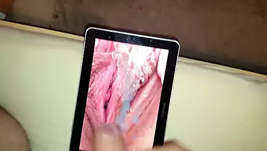 lolipop için haraç