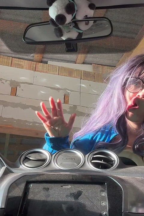 I Make Silly Faces at My Car I Press My Face, My Mouth, and My Tongue Against the Glass Window, and Then I Make Silly Faces.