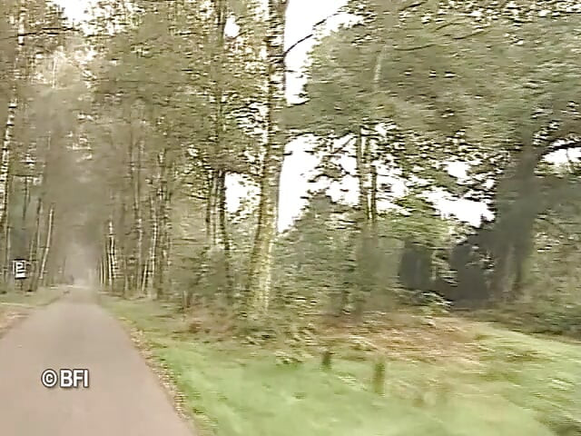 Dutch girls - married couples 1