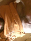 Pratonton Video