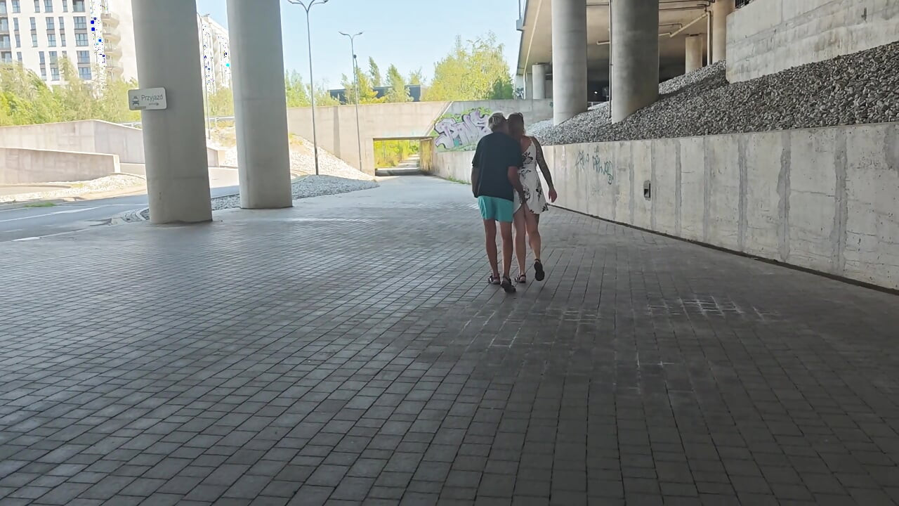 Hard Fucking in Broad Daylight on the Way From the Train Station. Blowjobs, Fucking, Cunnilingus, and More.