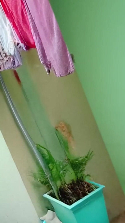 Epic moment from "Indian College stepsister Sex while putting clothes out to dry"