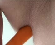 Carrot!