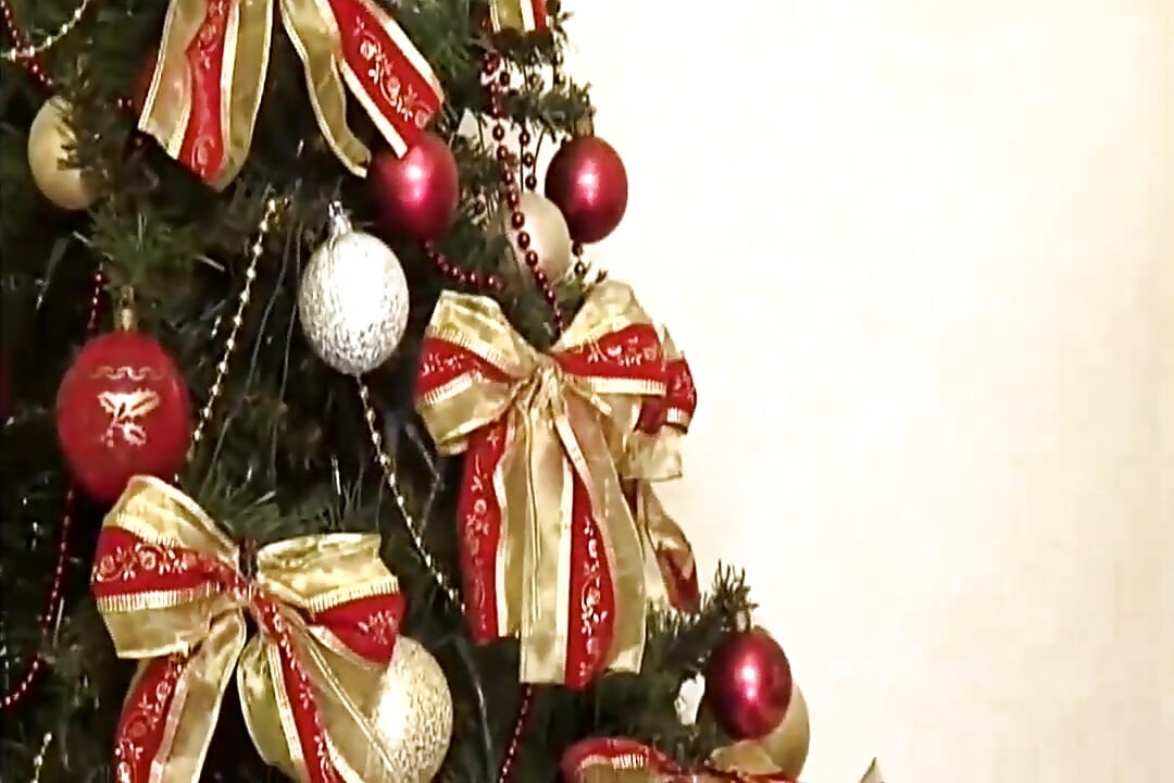 3 Elfos do Papai Noel em Super Boquetes para os Trans
