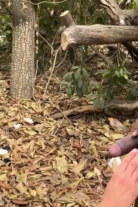 大黑屌操拉丁 Twink 同性恋 铁杆 肛门