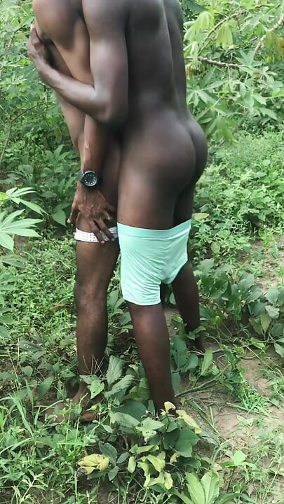 เย็ดวันหยุดคริสต์มาสในพุ่มไม้