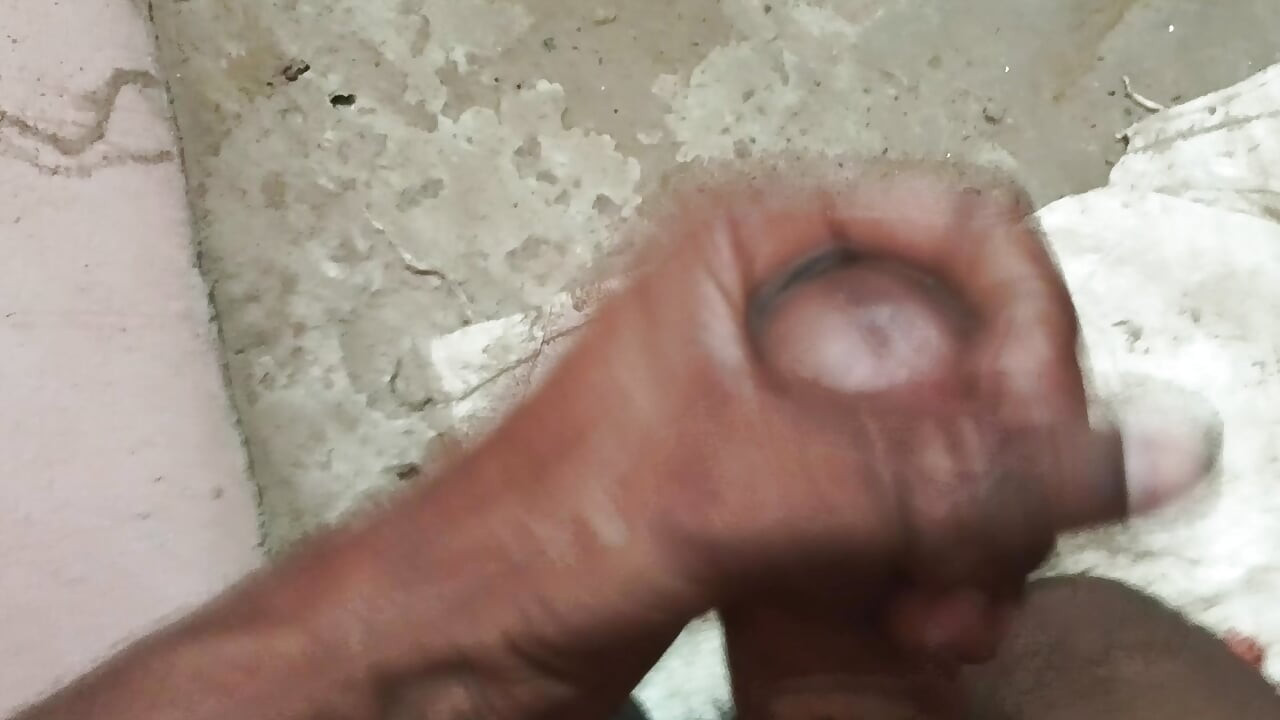 Moj dugi Desi dlakavi