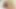 Stubbles by Distorded