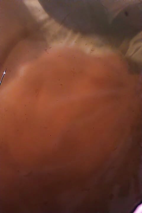 Sex video delhi dreng