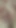 Morning Creampie - Teaser
