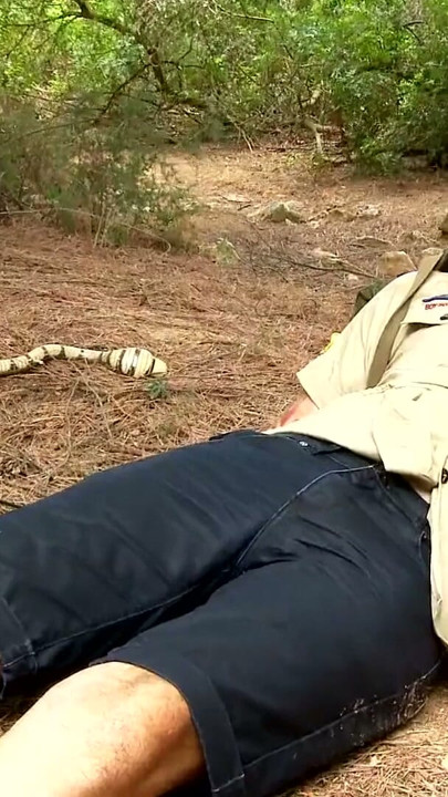 Boy Scout siyah kadın savaşçı tarafından sikilmek için baştan çıkarılıyor | Klip 1
