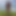 Naked58man on Werrong Nude Beach