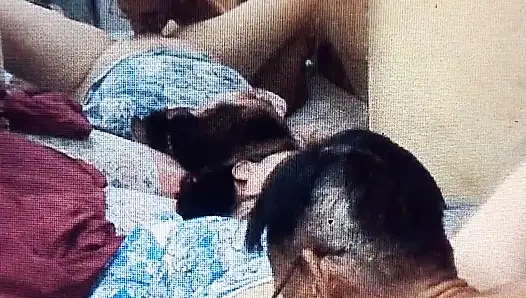 Liebe mich, meine ehefrau. ich werde deine muschi essen