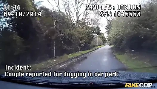 Schmutziger hundetagsnachmittag: seine freundin ist glücklich, die polizei zu ficken!