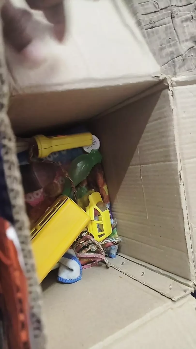 Mi parcela