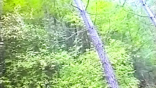 Dalam kehangatan perapian dapatkan blowjob yang bagus