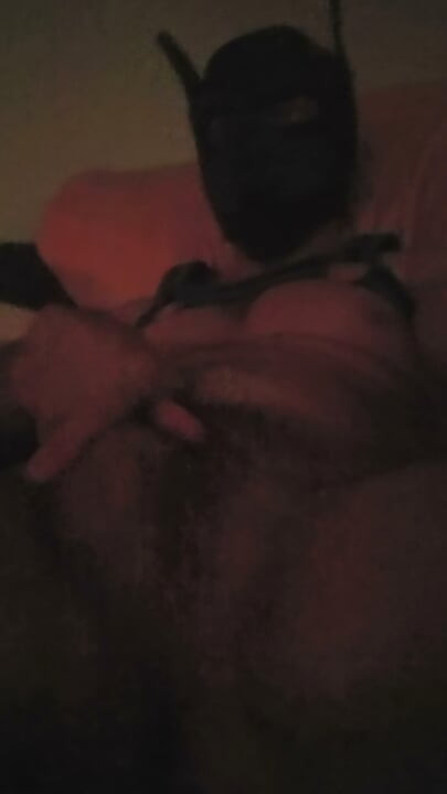 Pup jerking off his hard cock
