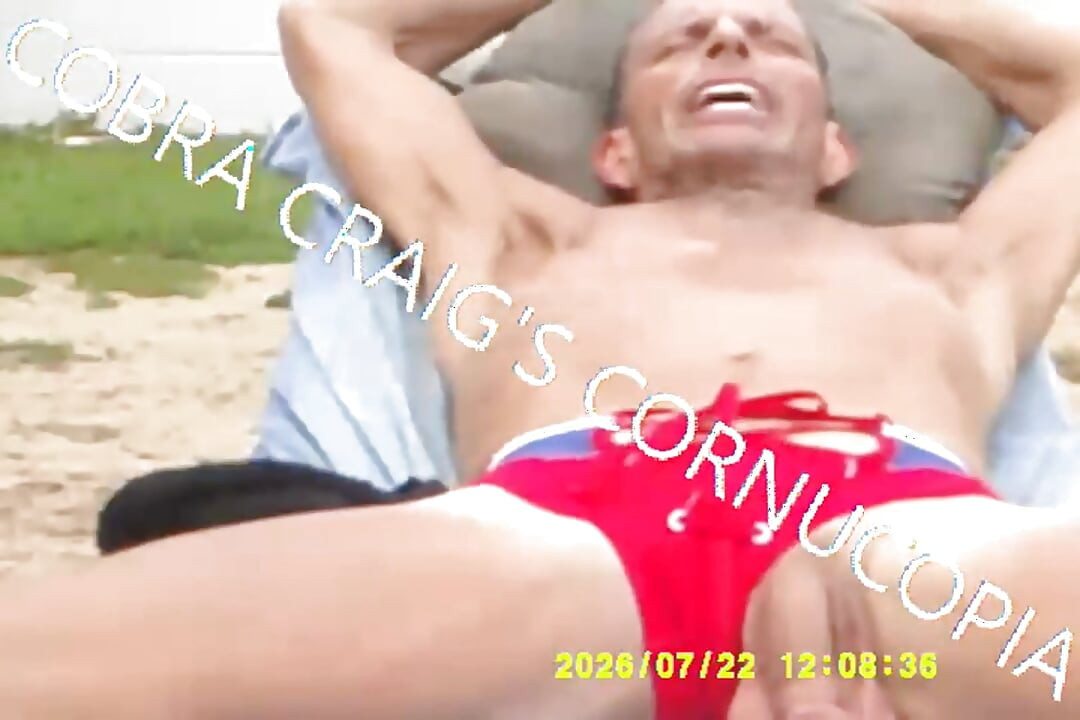 7-19-2026 the Cock the Sun Singing Venus Was Her Name Free Bird Wishing You Were Here