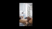 Pratinjau video