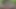 フルデイビデオ