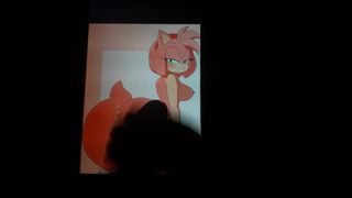 Amy Rose kam mit Tribut