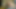 Newbie virgin discovers pleasures of taxi-cab rides while getting her hymen popped by experienced driver.