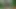 Soft foreskin naked runs in the forest and then jerks off